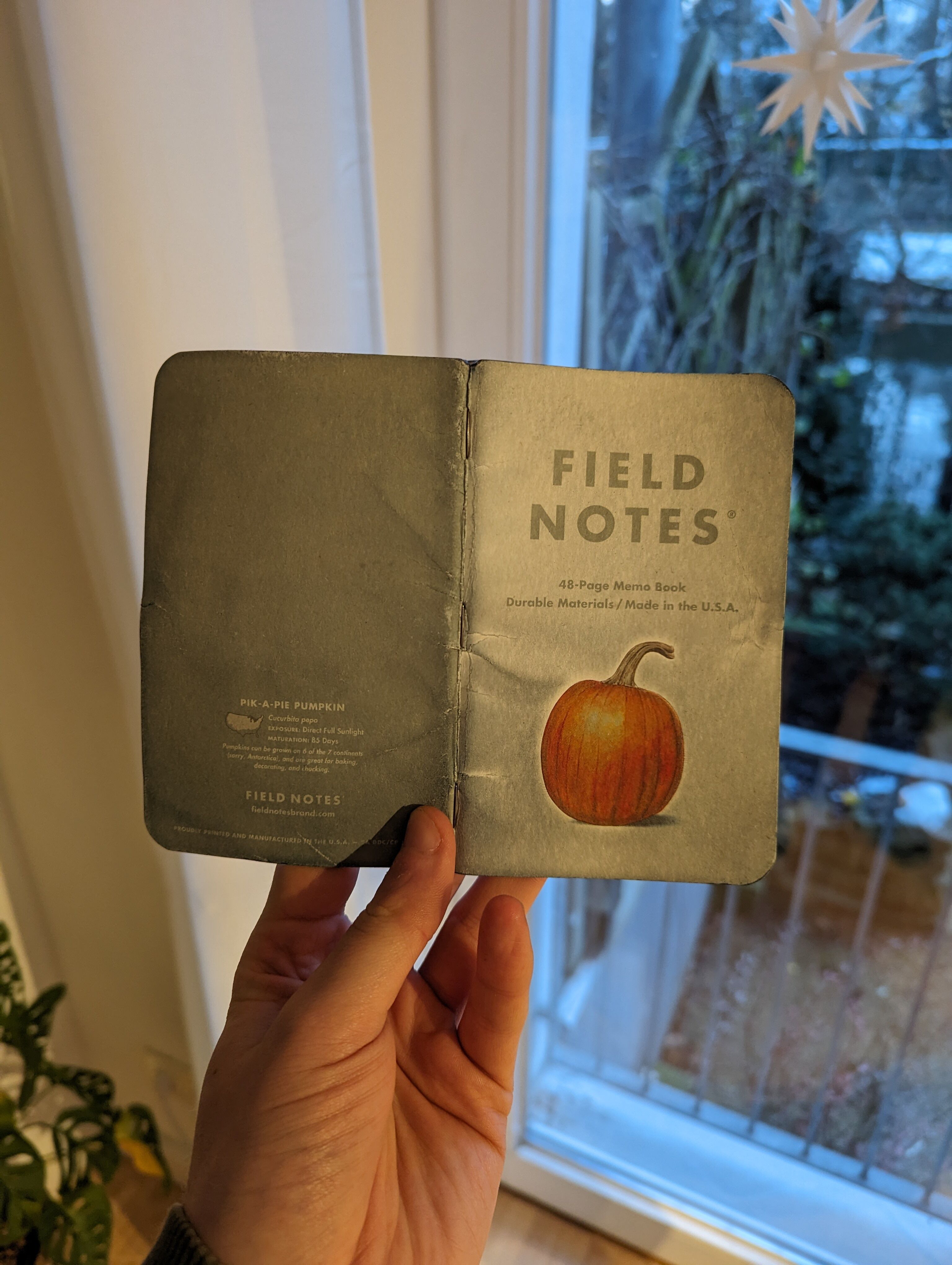Field Notes #3